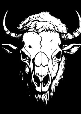 White Buffalo Head on Black Background
