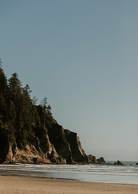 Coastal Cliff with Trees and Beach