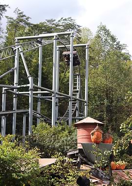 Roller Coaster - Mystery Mine Dollywood