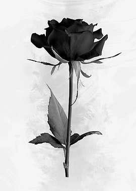 Monochrome Rose
