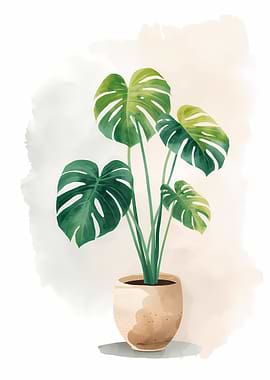 Monstera Plant Watercolor Illustration