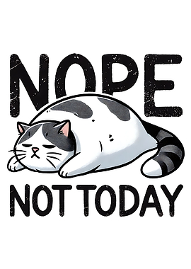 Nope Not Today Lazy Cat