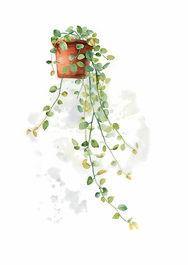 Watercolor Potted Plant Illustration