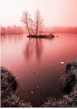 Frozen Lake with Island in Fog