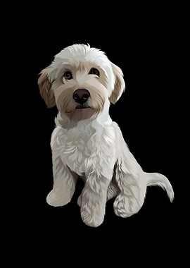 Cute White Dog Portrait on Black