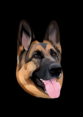 German Shepherd Portrait on Black Background