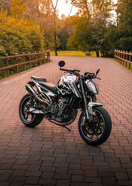 Motorcycle on Brick Road in Nature