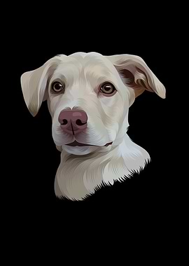 Dog Portrait on Black Background