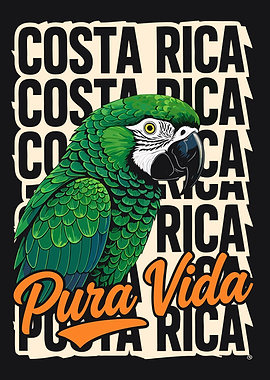 Costa Rica Parrot Pura Vida Graphic