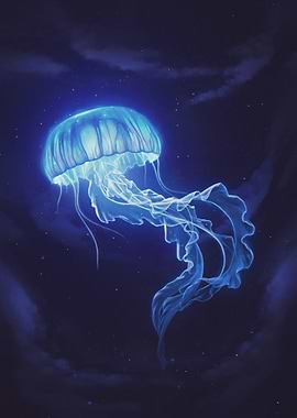 Jellyfish