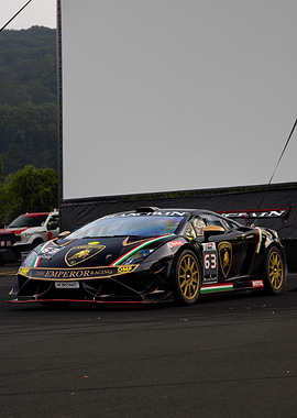 Black Lamborghini Race Car with Gold Wheels