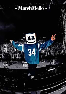 Marshmello Concert