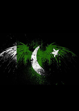 Pakistan Flag Eagle Grunge Art