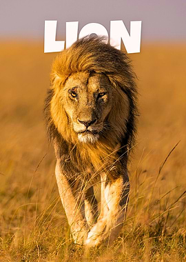 Majestic Lion Portrait