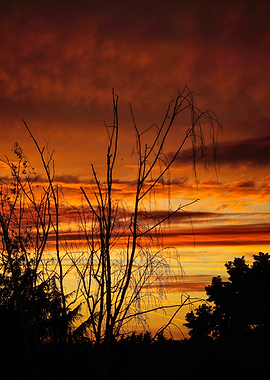 Loin des yeux, près du cœur.