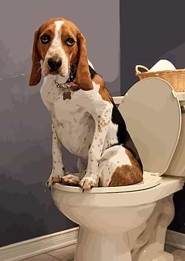 Dog sitting on a toilet