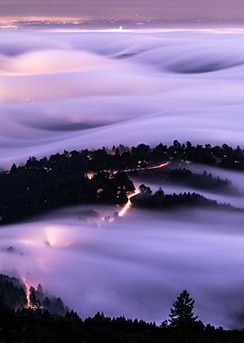 foggy landscape at night