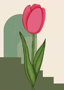 Pink Tulip with Geometric Background
