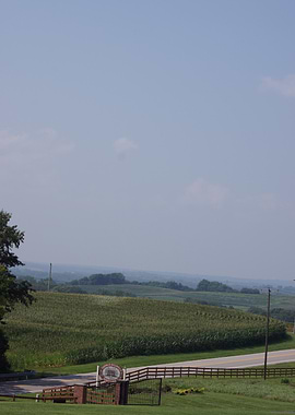 Rural Landscape with Cornfield and Sign