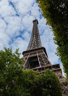 Eiffel Tower framed by trees