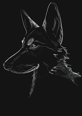 Young wolf White on Black