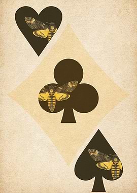 Moth Playing Card Suits Illustration