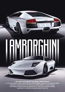 Lamborghini Sport Cars Poster