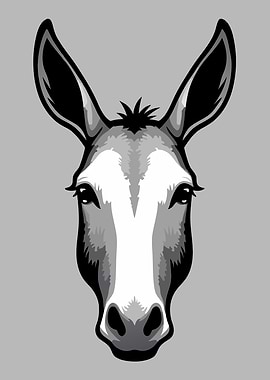 Mule Donkey Head Illustration