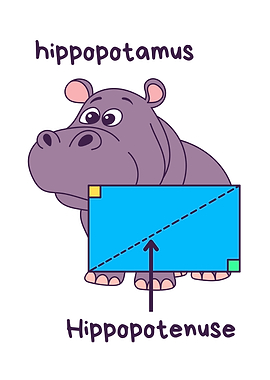 Hippopotamus and Hippopotenuse Cartoon