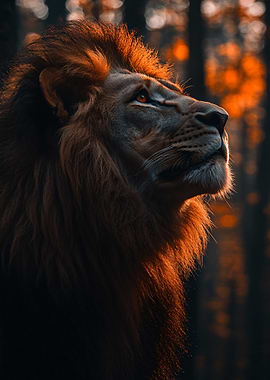 Majestic Lion Portrait
