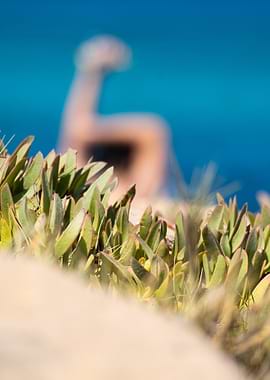 Coastal Plants with Blurred Figure