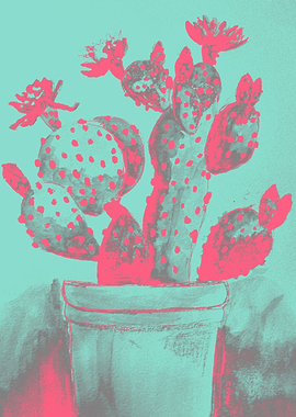 The Funky Cactus - Pink and Teal