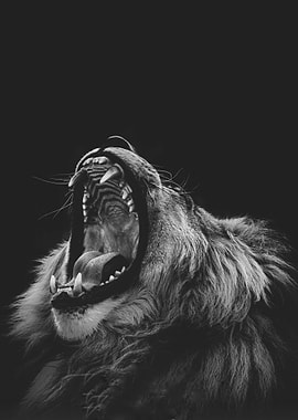 Lion's Roar in Black and White