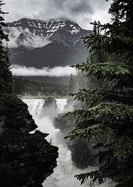 Mountain Waterfall Landscape with Evergreen Trees