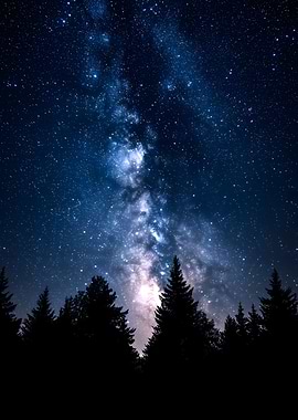 Milky Way over Forest