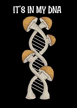 Boletes Mushroom Hunting Gift Men Foraging Mushrooms