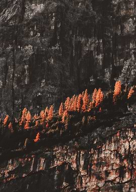 Mountain Ridge with Autumn Trees