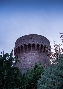 Stone Tower with Vegetation