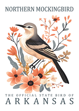Northern Mockingbird Arkansas State Bird