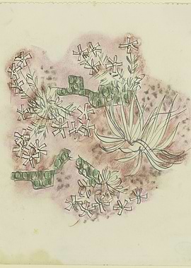 Botanical Sketch with Flowers and Succulents