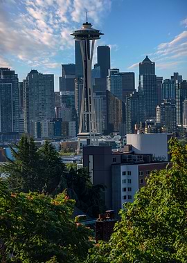 Needle Beyond the Branches