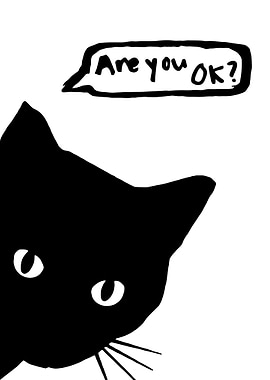 Black Cat 'Are you OK?'