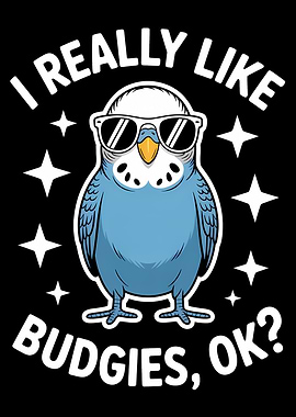 Cool Budgie Cartoon with Sunglasses