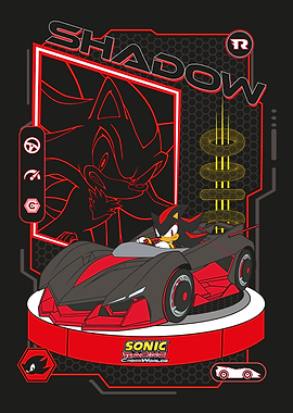 Shadow's High-Speed Racing Display