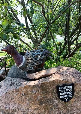 Metal Duck Sculpture on Rock and Funny Text