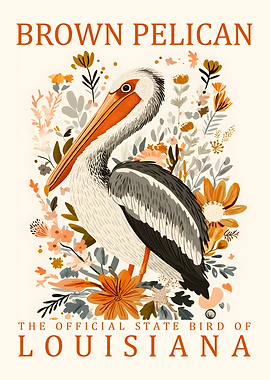 Brown Pelican Louisiana State Bird Art