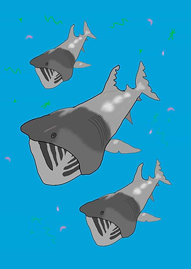 Basking Sharks in feeding on plankton