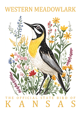 Western Meadowlark Kansas State Bird Art