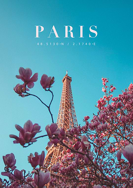 Paris Eiffel Tower with Magnolia Blossoms