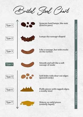 Bristol Stool Chart Medical Diagram